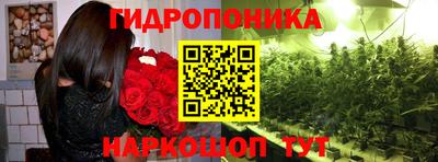 ГАЛЛЮЦИНОГЕННЫЕ ГРИБЫ Лесосибирск