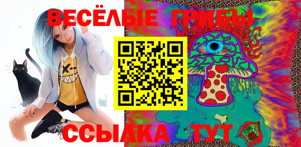 Галлюциногенные грибы Psilocybine cubensis Югорск